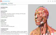Visual Acupuncture 3D iphone bilder 0