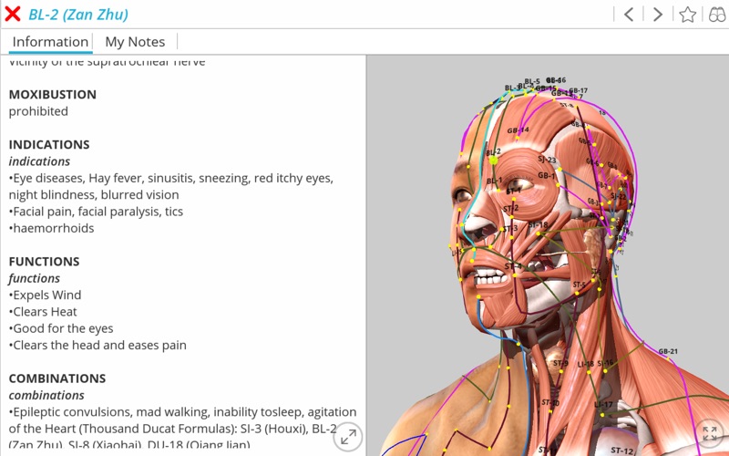 Screenshot #1 pour Visual Acupuncture 3D