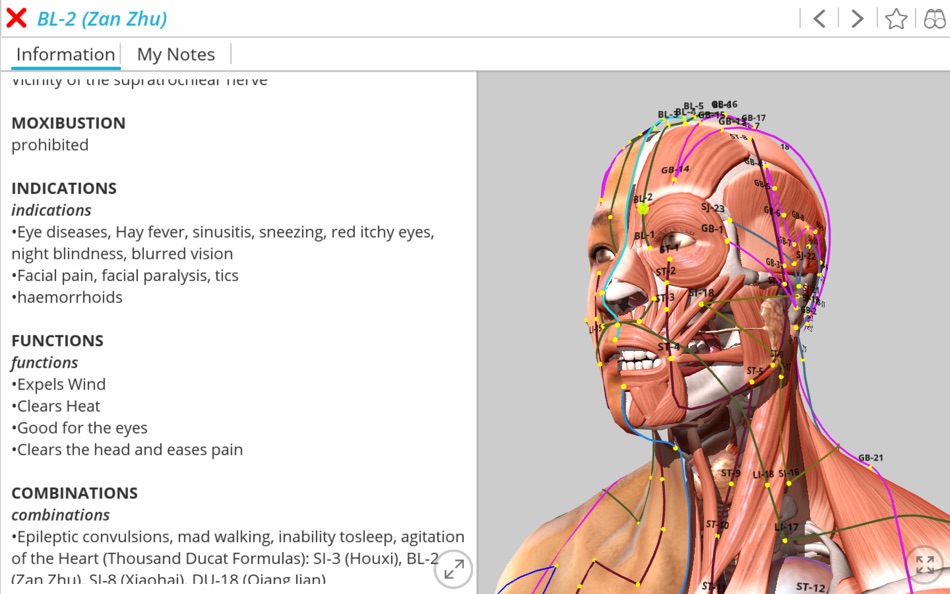 Visual Acupuncture 3D - 1.0 - (macOS)
