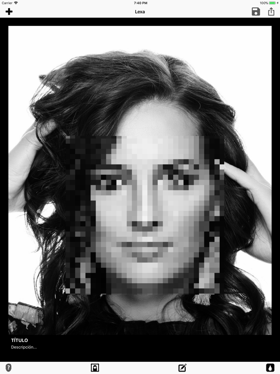 Lexa iPad screenshot 7 - Photo & Video app