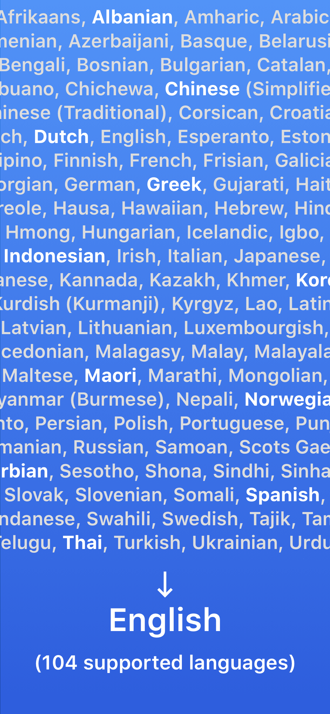 Website Translator