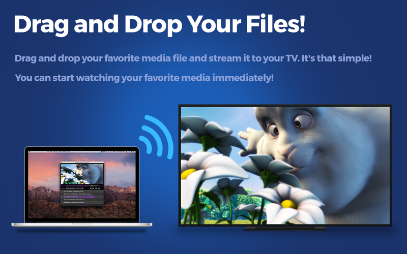 Air Stream for Sony &amp; Sharp TV thumbnail 3