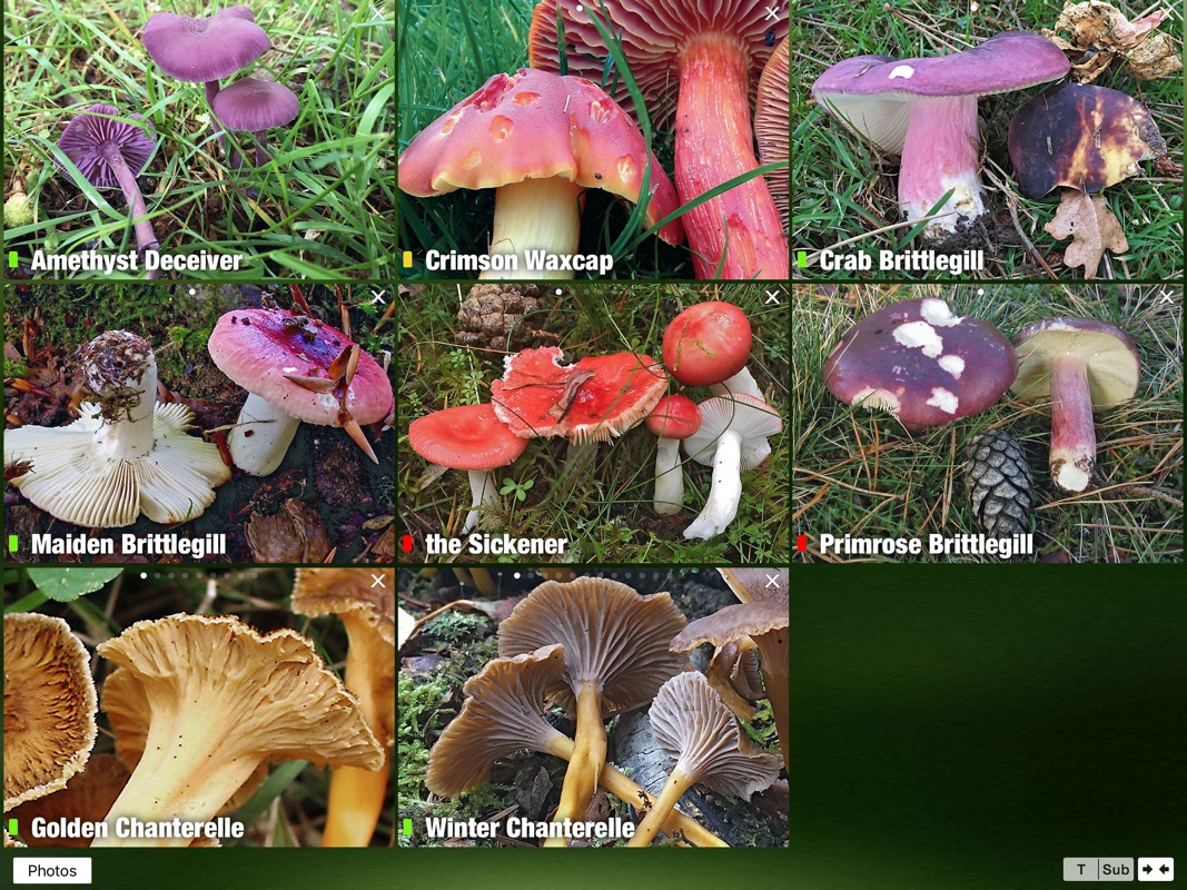 The app covers 750 species, comes with 2500 carefully selected images and text written by mushroom expert Andy Overall. This guide will help you quickly and ...