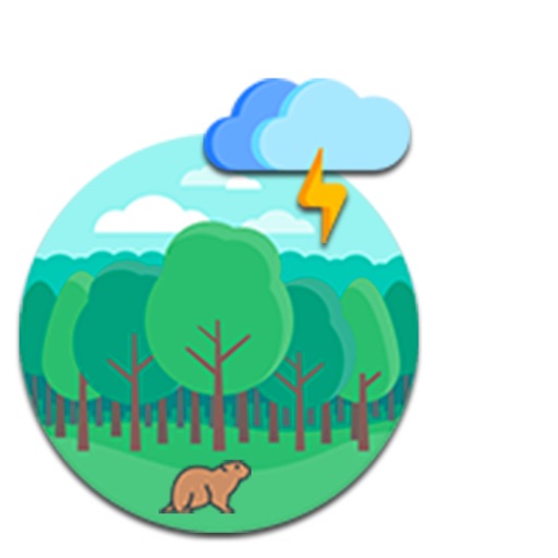 RainSound in Forest icon