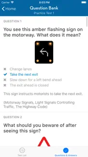 uk driving theory test guide iphone screenshot 4