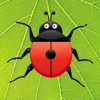 Ladybug Count - Joe Scrivens