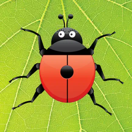 Ladybug Count Cheats