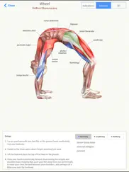 3d yoga anatomy ipad resimleri 1