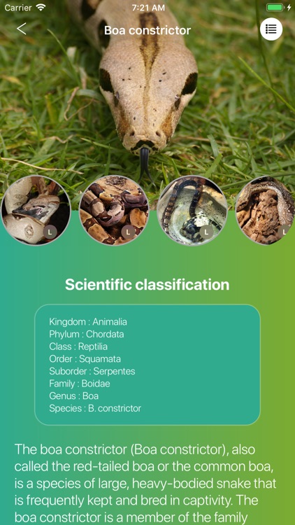 Snakes 2.0 screenshot-5