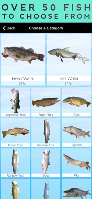 Fishing Booth(圖4)-速報App