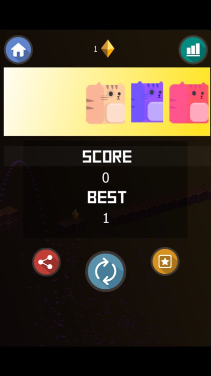 Cute Kitties Want to Run