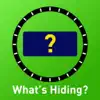 What's Hiding? problems & troubleshooting and solutions
