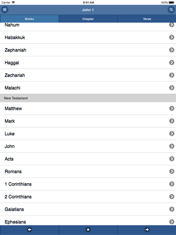 VerseVIEW Mobile Bible iPad screenshot 4 - Reference app