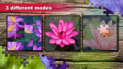 Jigsaw Puzzle: Flower game screenshot 2