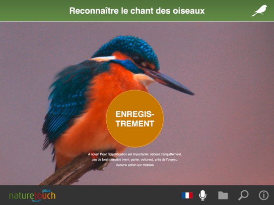 Screenshot #5 pour Voix d'oiseaux reconnaissent