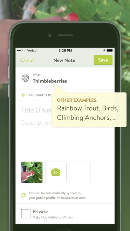 Natural Atlas screenshot-3
