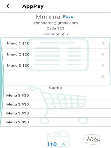 AppPay