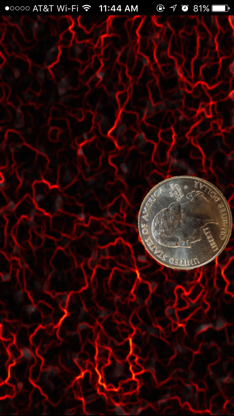 Marty's Magic Coin Trick screenshot 1
