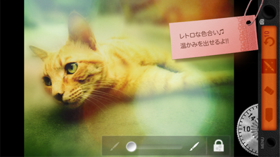 Bokehflex ゆるふわ一眼 screenshot1