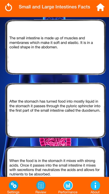 Body Parts : Small and Large Intestines Quiz screenshot-3