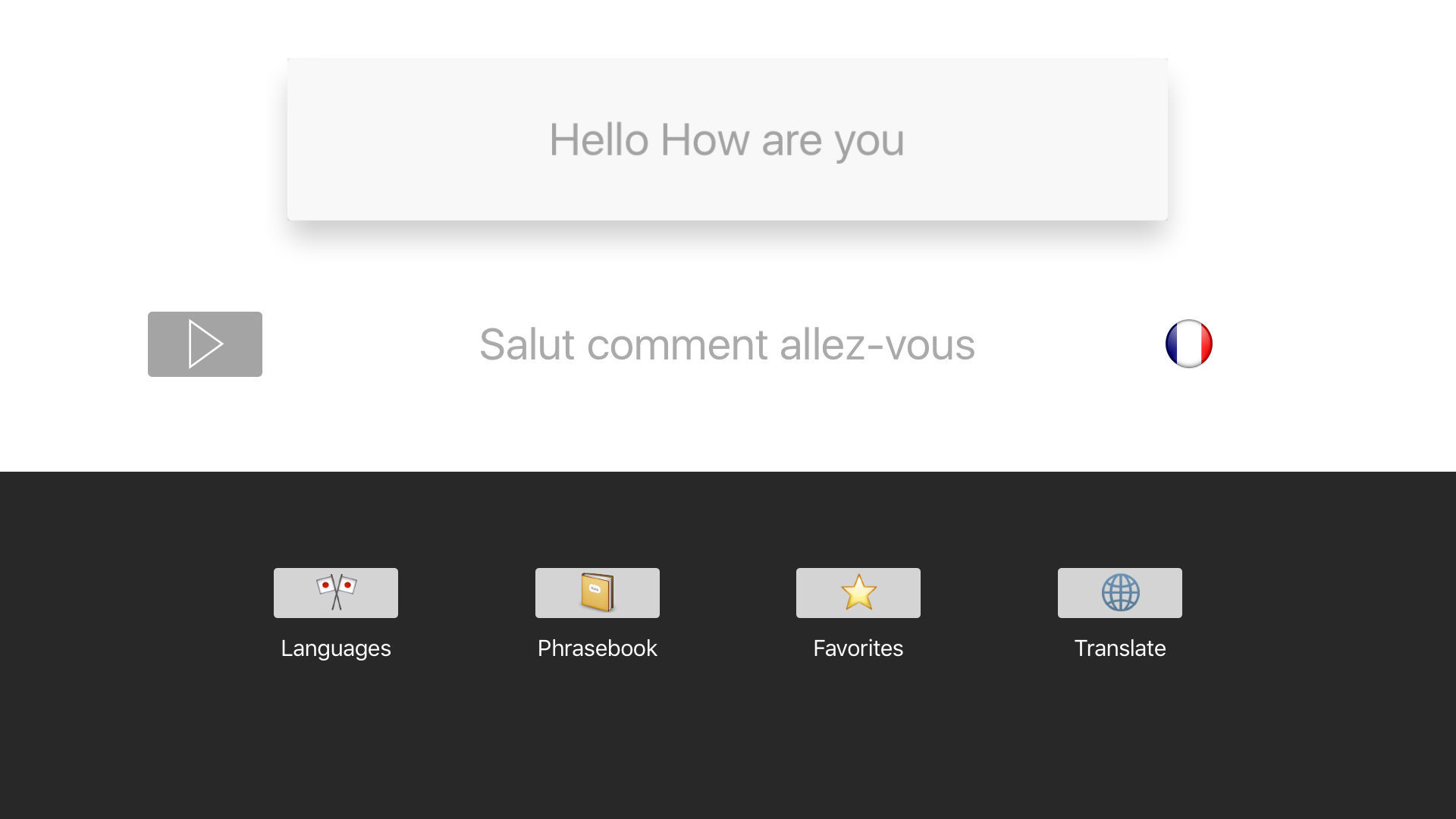 Translator , scanner