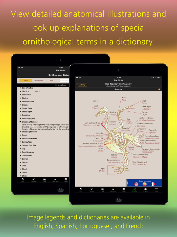 The Birds of Bolivia