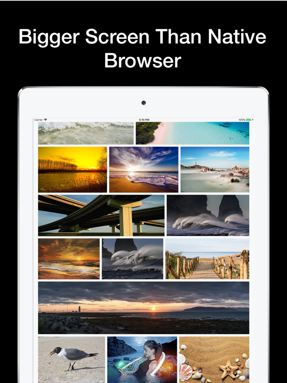 Screenshot #6 pour Hive Private Browser