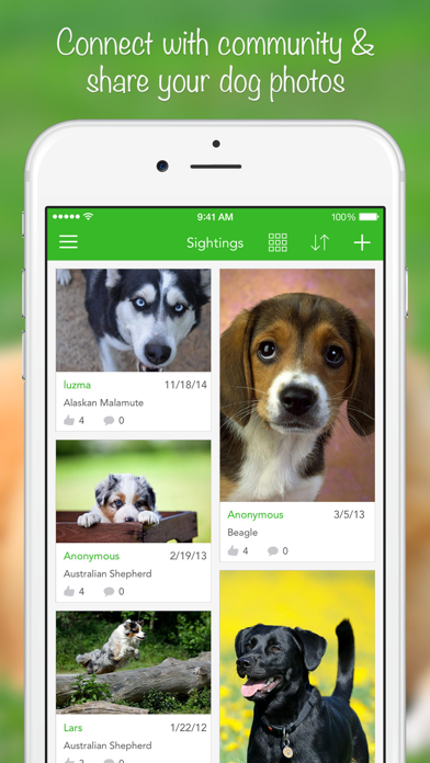 Dogs PRO HD - NATURE MOBILE - Dog Breed Guide and Quiz Game Screenshot 5