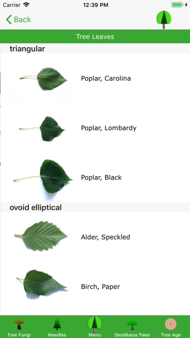 tree-guide Screenshot