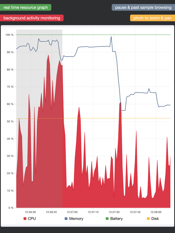 System Status - activity monitor, network info, battery charge & memory manager screenshot