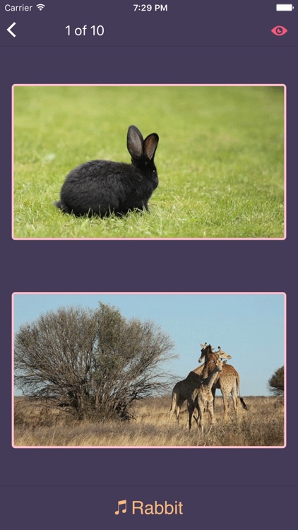 LonelyPix Animal Friends Lite screenshot-4