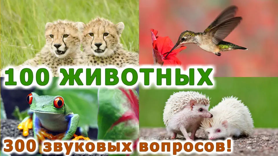 Скриншот Животные для детей! LITE на iPhone 1