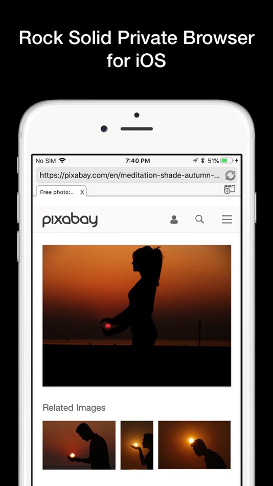 #1. Hive Private Browser (iOS) 由: Rojao