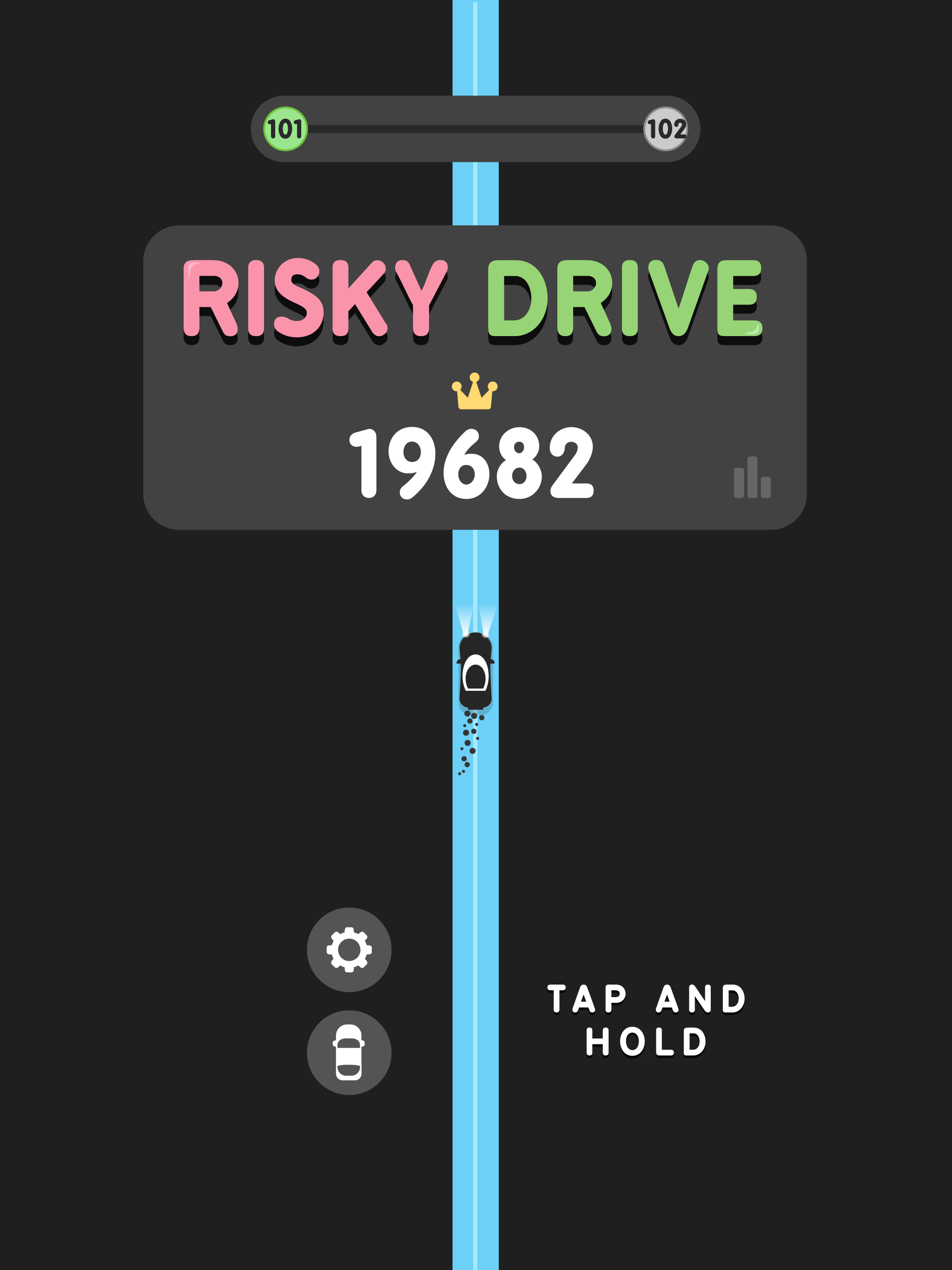 Risky Drive