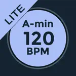 BPM & Chords Analyzer Lite - DJ and Musicians Tool App Problems