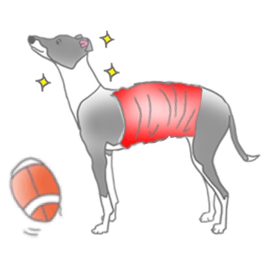 Italian Greyhound Dog IggyMoji icon