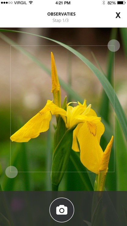 HDSR water en oeverplanten screenshot-3