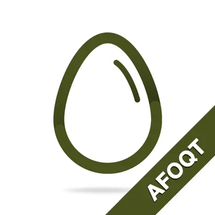 AFOQT Practice Test Cheats