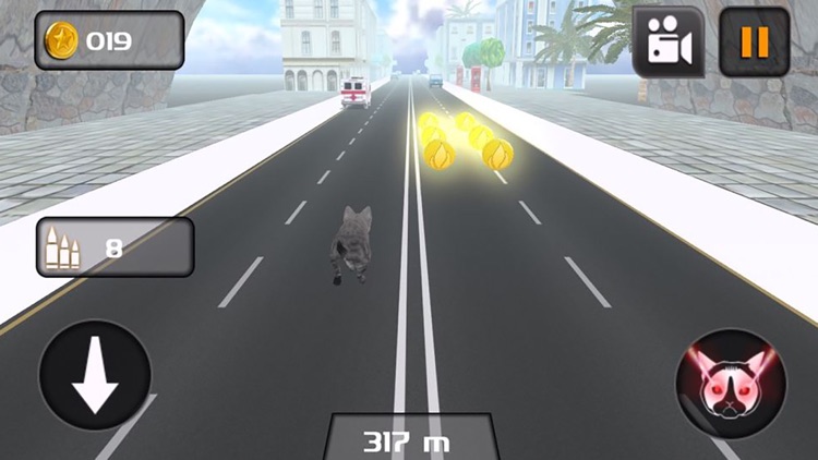 Kitty Cat Rush 3D Game