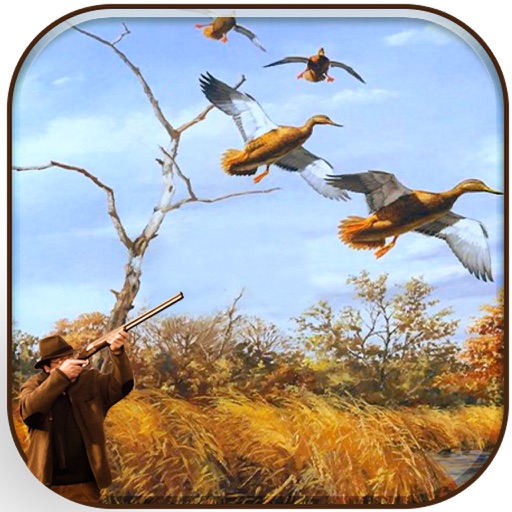 Wild Duck Hunter: Classic Hunt Icon