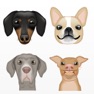 Get PetMojis' by The Dog Agency for iOS, iPhone, iPad Aso Report