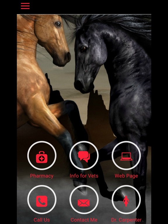 Screenshot #4 pour Equine Lameness Specialist