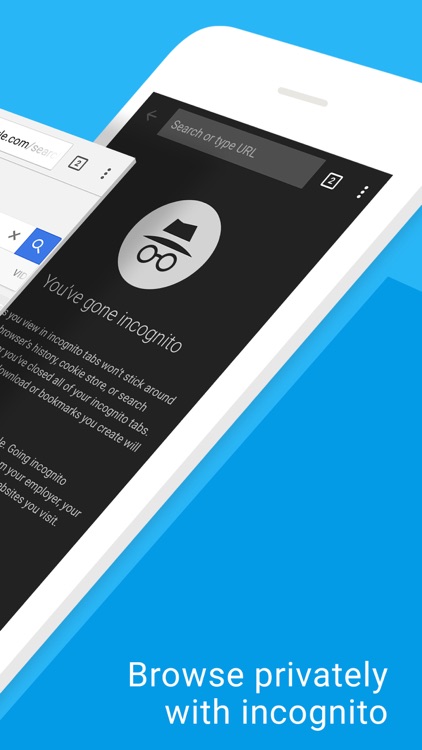 Google Chrome – The Fast and Secure Web Browser