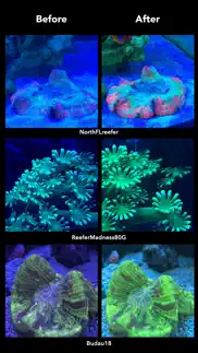 aquarium camera problems & solutions and troubleshooting guide - 4