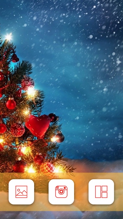 Christmas & New Year Photos