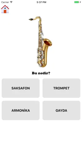 Game screenshot Learning Turkish - Basic Words hack