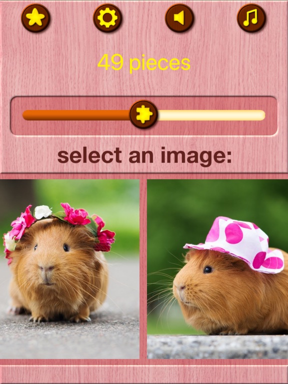 Guinea Pig Jigsaw Puzzle Games iPad screenshot 10 - Games app