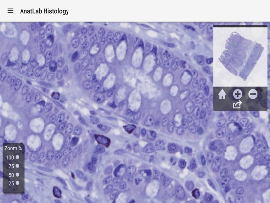 Screenshot #4 pour AnatLab Histology