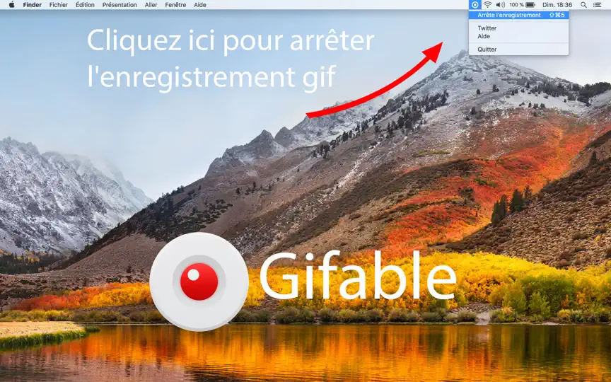 Capture d'écran de Gifable – Enregistreur D’écran sur iPhone 3