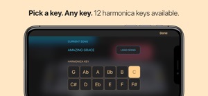 Harmonica screenshot #4 for iPhone